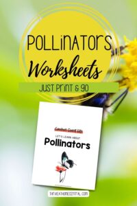 Learn About Pollinators Printables Activity Pack